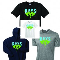 rays23 basics